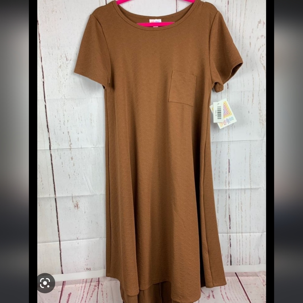 🅴 LuLaRoe Carly Brown Textured Dress